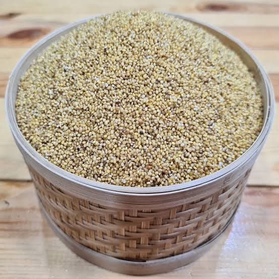 Thinai Millet