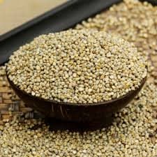 Pearl Millet (Kambu)