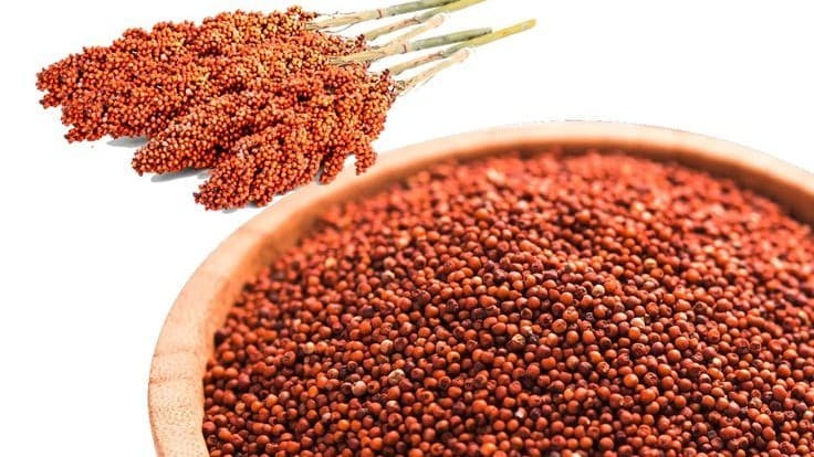 Ragi Millet